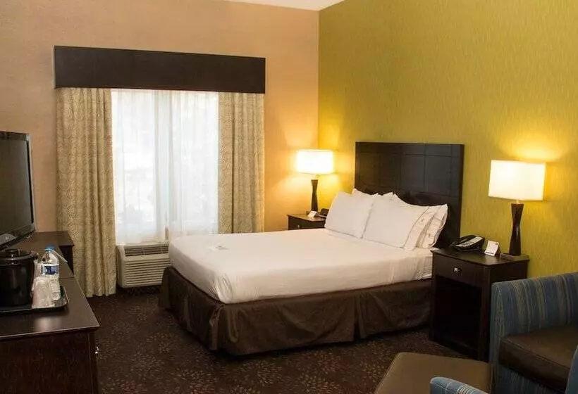 اتاق استاندارد, Holiday Inn Express Hotel & Suites Saginaw, An Ihg