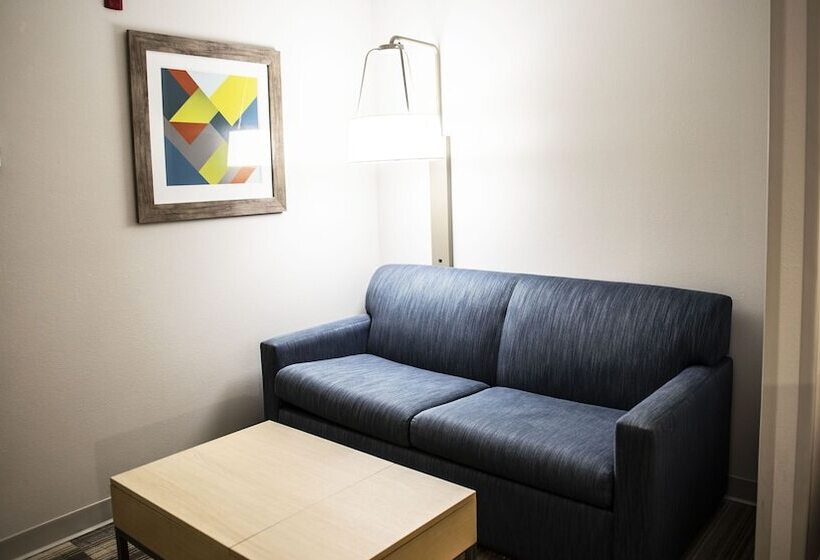 جناح, Holiday Inn Express Hotel & Suites Sedalia, An Ihg