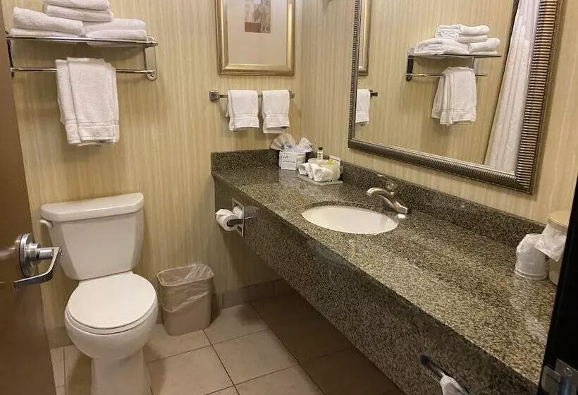 スタンダードルーム, Holiday Inn Express Hotel & Suites Silt   Rifle, An Ihg
