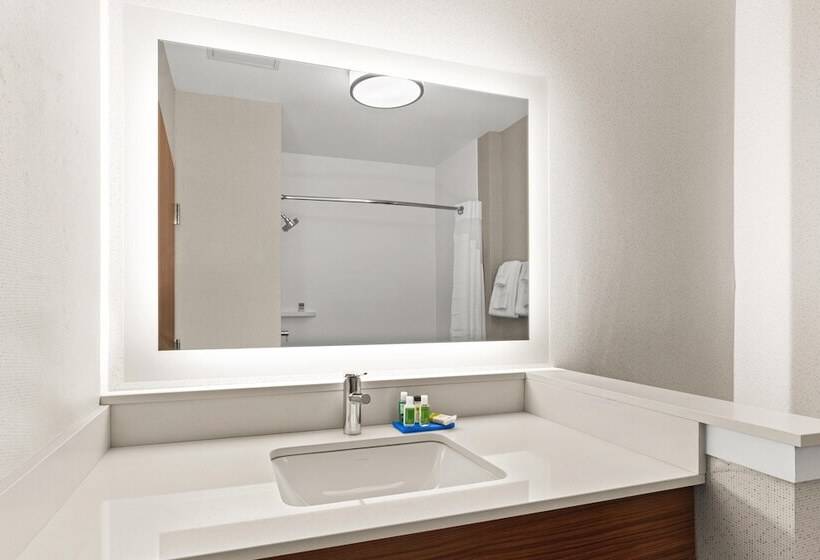 Люкс Адаптированный для Инвалидов, Holiday Inn Express Hotel & Suites Willows, An Ihg