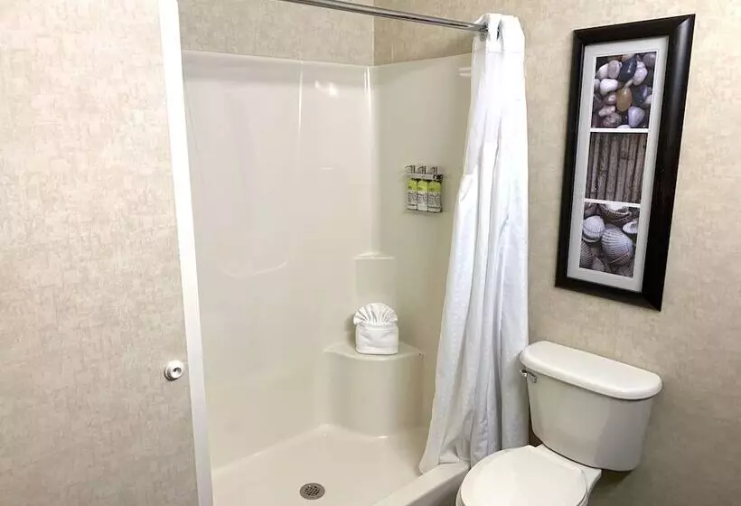 ２ダブルベッドのスタンダードルーム, Holiday Inn Express Holland, An Ihg