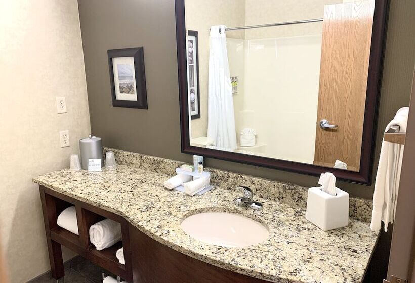 2ダブルベッドのスタンダードルーム, Holiday Inn Express Holland, An Ihg