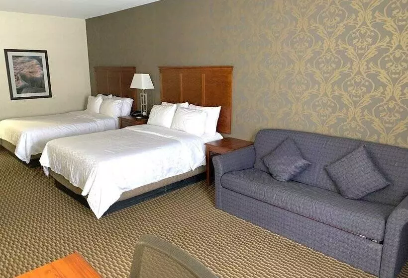 エクゼクティブルーム, Holiday Inn Express Holland, An Ihg