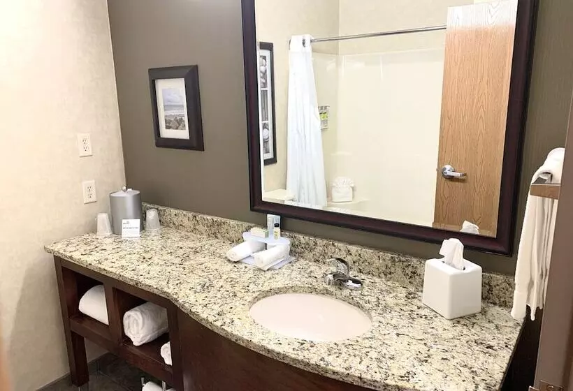 エクゼクティブルーム, Holiday Inn Express Holland, An Ihg