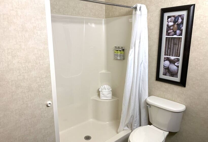 Номер Стандарт, Holiday Inn Express Holland, An Ihg