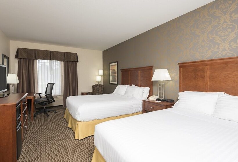 スタンダードルーム, Holiday Inn Express Holland, An Ihg