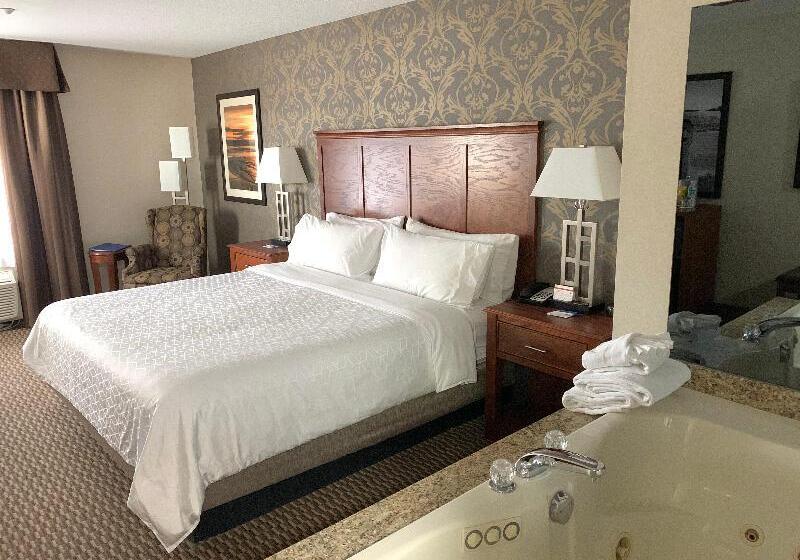 キングサイズベッドのスタンダードルーム, Holiday Inn Express Holland, An Ihg