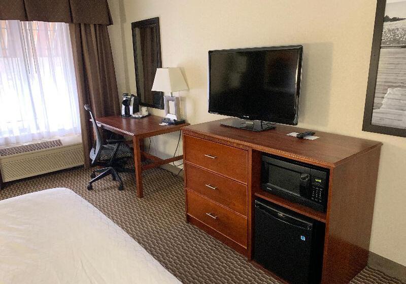 キングサイズベッドのスタンダードルーム, Holiday Inn Express Holland, An Ihg