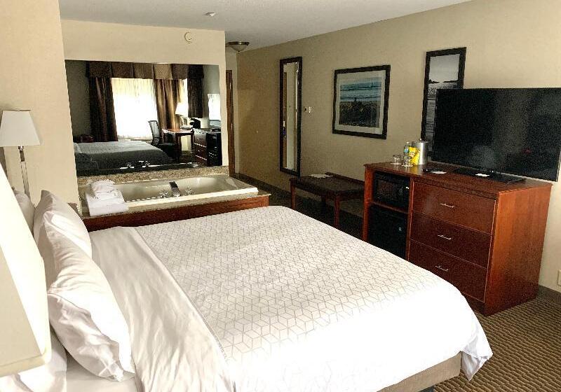Стандартный Номер Кровать Кинг, Holiday Inn Express Holland, An Ihg