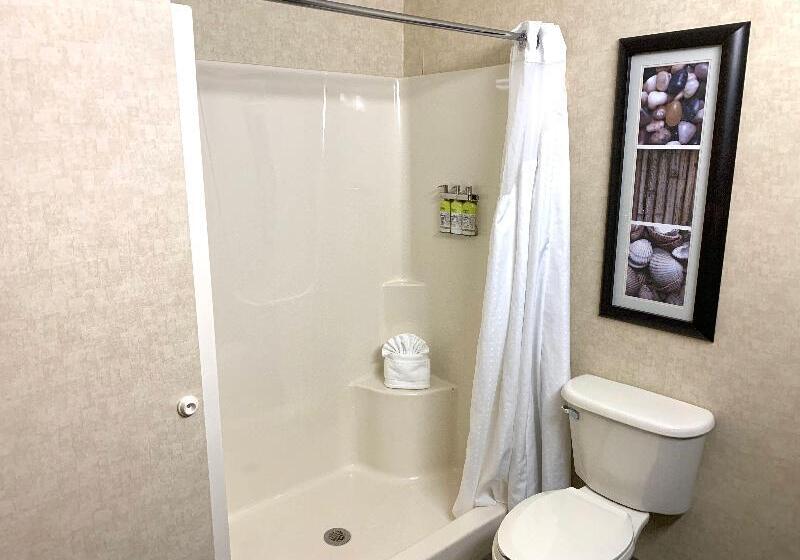 キングサイズベッドのスタンダードルーム, Holiday Inn Express Holland, An Ihg