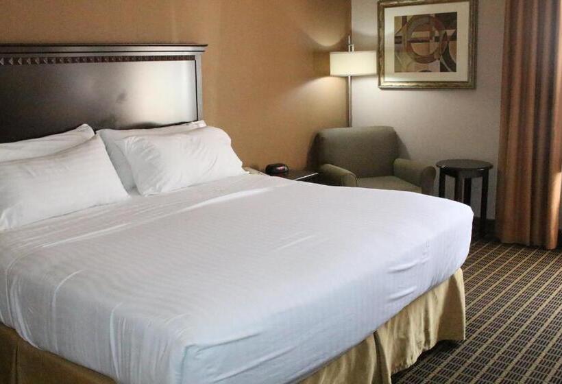غرفة قياسية سرير كينج, Holiday Inn Express Kansas City Liberty Missouri, An Ihg