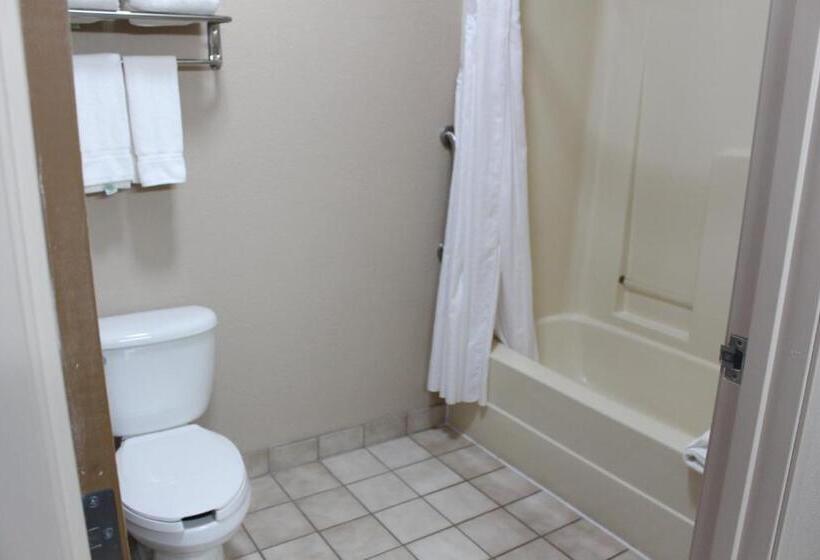 اتاق استاندارد با تخت بزرگ, Holiday Inn Express Kansas City Liberty Missouri, An Ihg