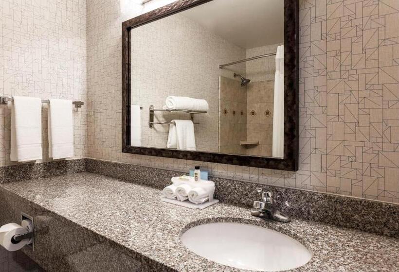 디럭스 스위트 킹 침대, Holiday Inn Express Lancaster, An Ihg