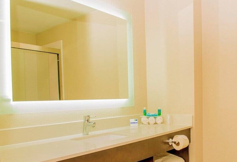 套房, Holiday Inn Express St. Petersburg North / I 275, An Ihg