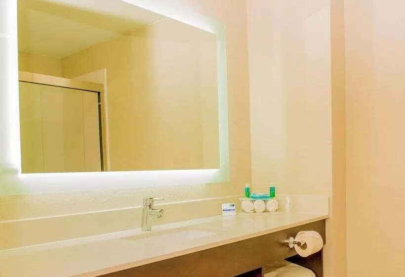 スイート, Holiday Inn Express St. Petersburg North / I 275, An Ihg