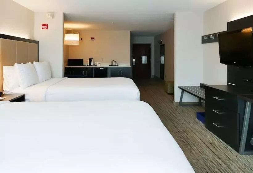 スイート, Holiday Inn Express St. Petersburg North / I 275, An Ihg
