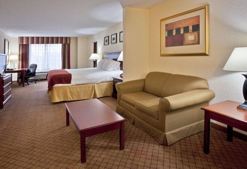 套房, Holiday Inn Express St. Petersburg North / I 275, An Ihg