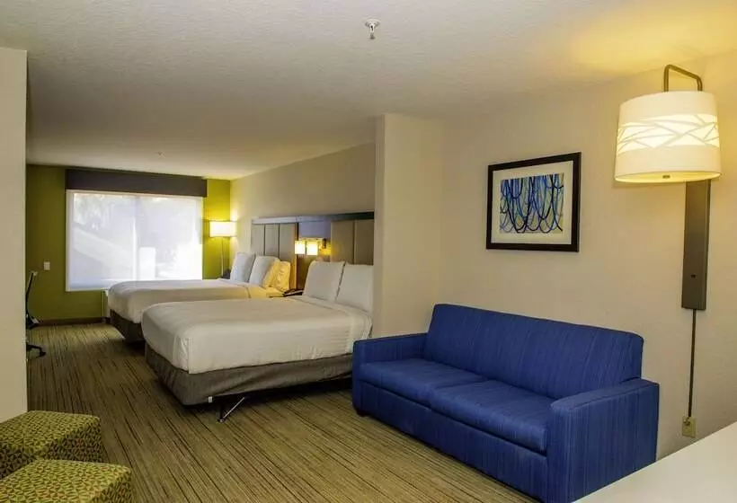 身障者適用スタンダードルーム, Holiday Inn Express St. Petersburg North / I 275, An Ihg