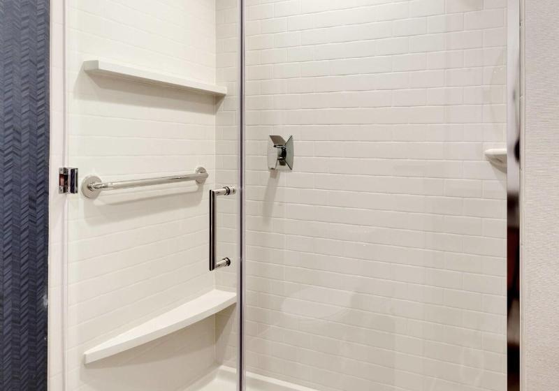 带大床的套房, Holiday Inn Express St. Petersburg North / I 275, An Ihg