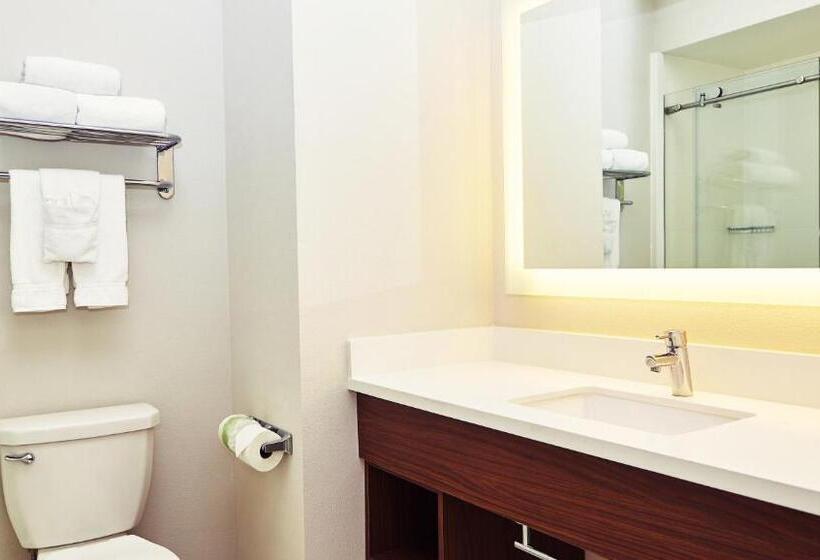 キングサイズベッドのエクゼクティブルーム, Holiday Inn Express & Suites Corona, An Ihg