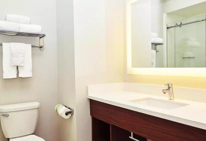 キングサイズベッドのエクゼクティブルーム, Holiday Inn Express & Suites Corona, An Ihg