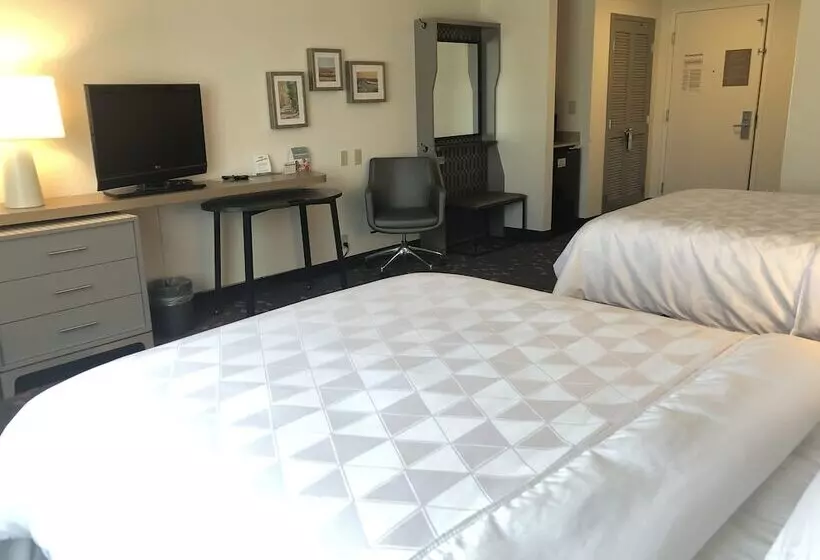 身障者適用スタンダードルーム, Holiday Inn Statesboro University Area, An Ihg
