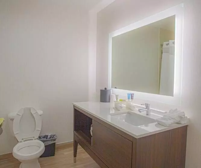 Sviitti, Holiday Inn & Suites Spring   The Woodlands