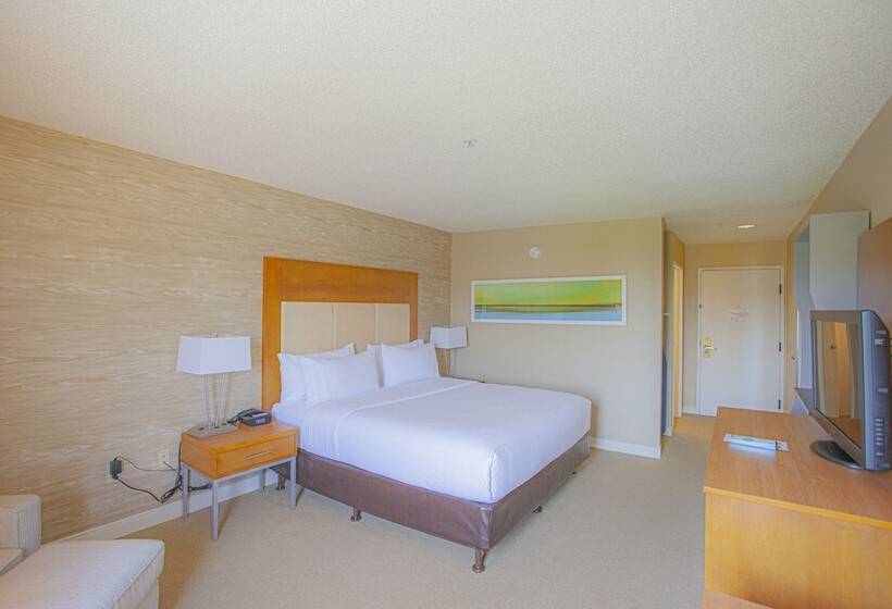 스탠다드 룸, Holiday Inn & Suites Spring   The Woodlands