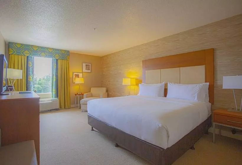 Sviitti Liikuntarajoitteisille, Holiday Inn & Suites Spring   The Woodlands