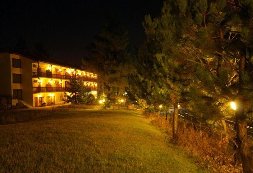 חדר סטנדרט לשלושה, Milionis Forest