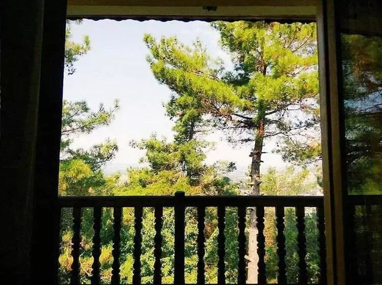 スタンダードシングルルーム, Milionis Forest