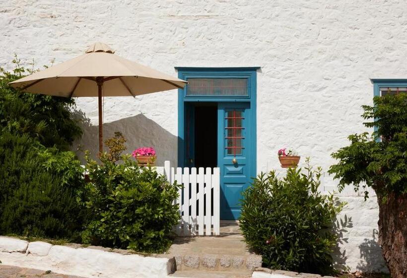 高级大房间, Orloff Boutique