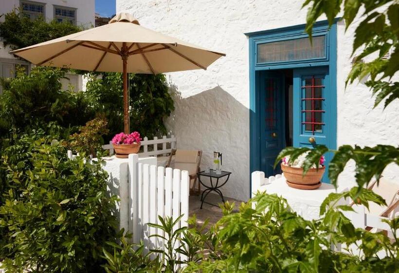 高级大房间, Orloff Boutique