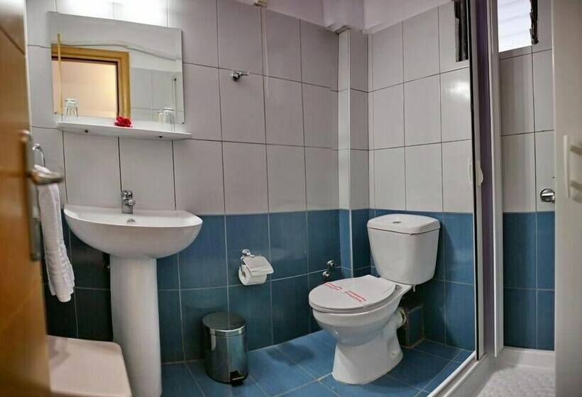 اتاق استاندارد سه نفره, Theofilos Classic