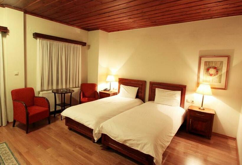 Номер Superior, Xenonas Brizi