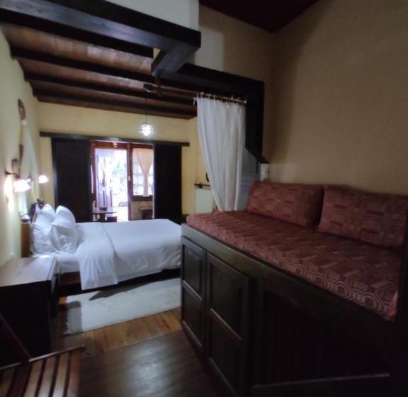 Студия Superior, Xenonas Brizi