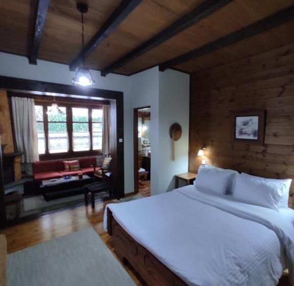 Студия Superior, Xenonas Brizi