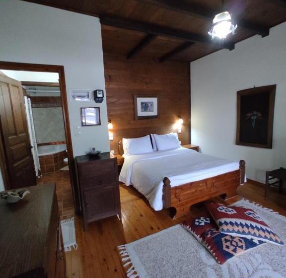 Номер Superior, Xenonas Brizi