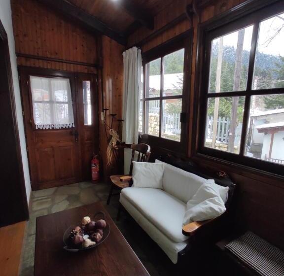 Номер Superior, Xenonas Brizi