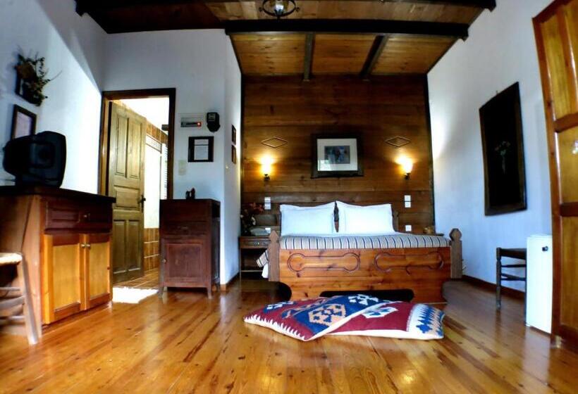 Номер Superior, Xenonas Brizi