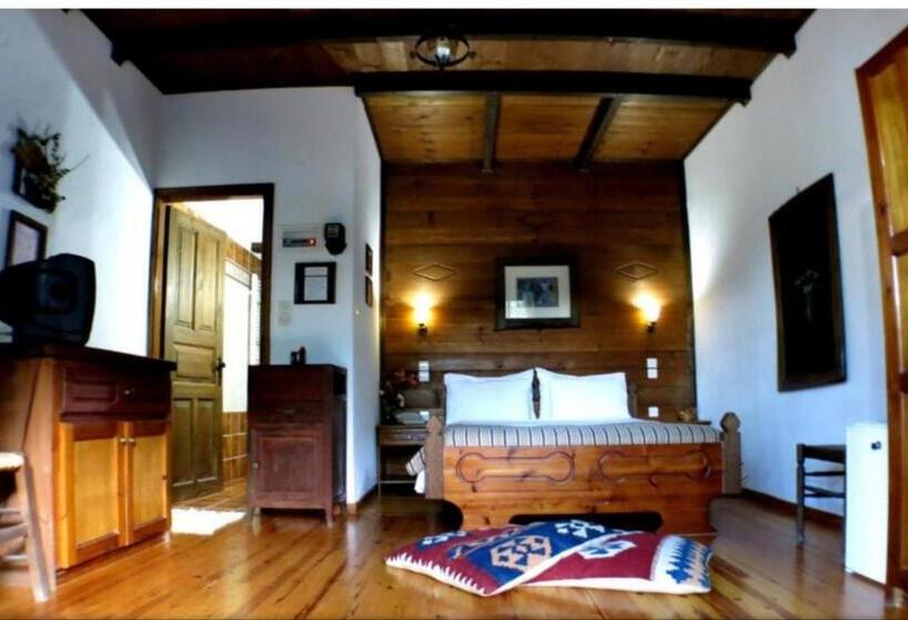 Номер Superior, Xenonas Brizi