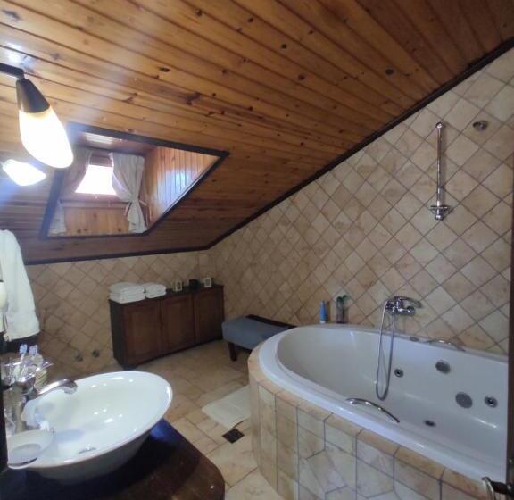 Семейный Номер, Xenonas Brizi