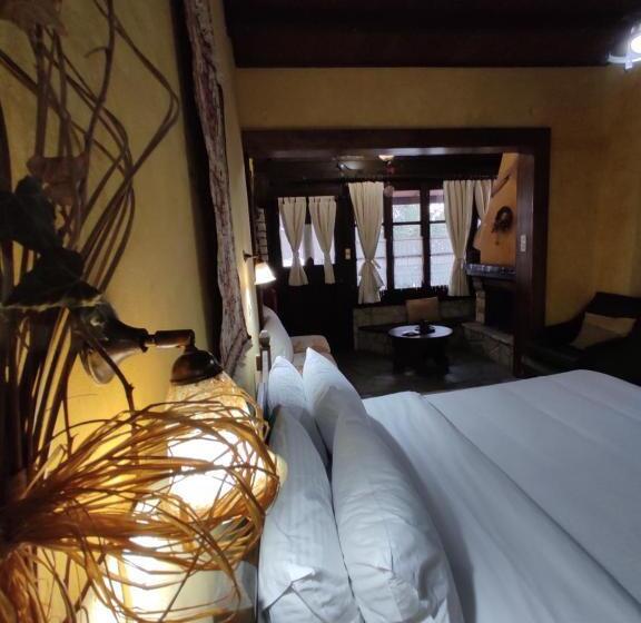 Студия Superior, Xenonas Brizi