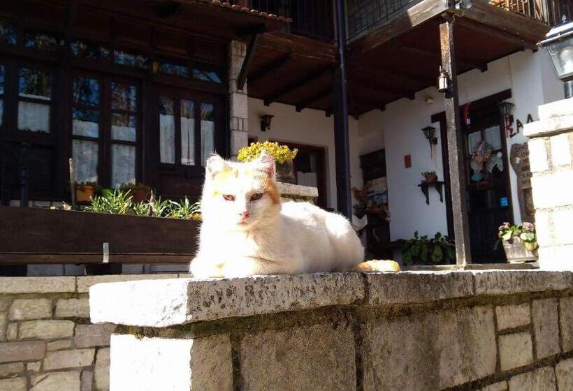 Студия Superior, Xenonas Brizi