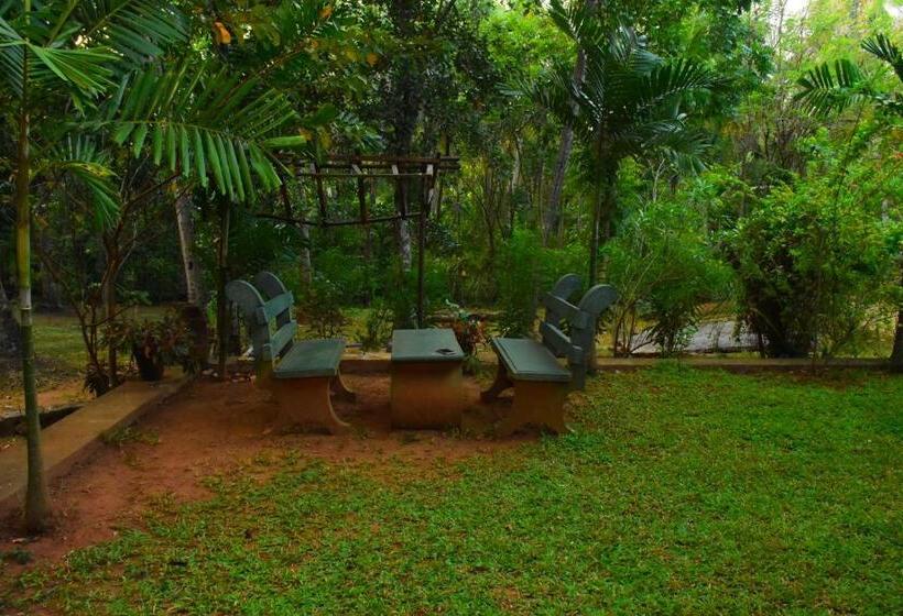 اتاق لوکس خانوادگی, Leesa Villa Safari Resort