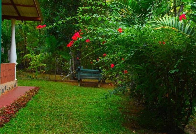 اتاق لوکس خانوادگی, Leesa Villa Safari Resort