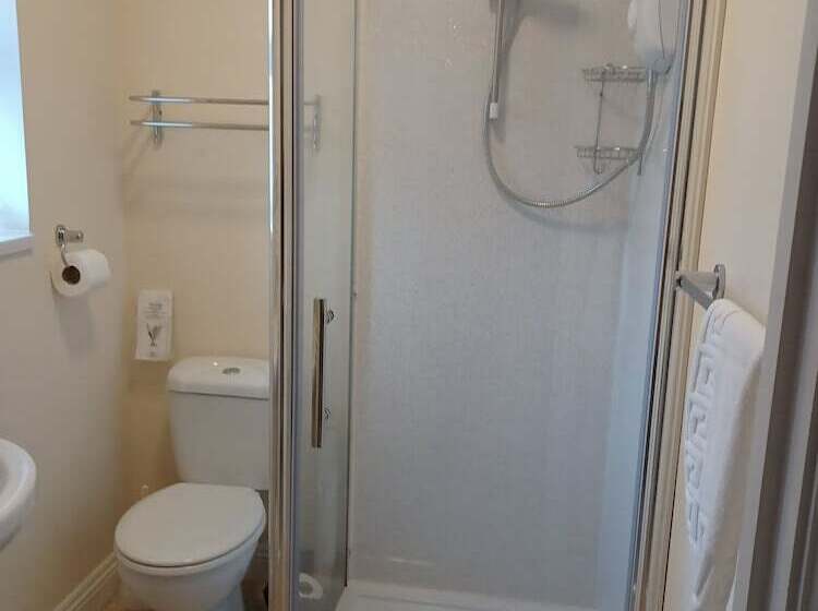 스탠다드 룸, Palm Court