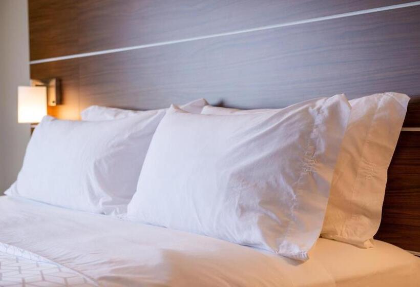 חדר סטנדרט, Holiday Inn Express Hotel & Suites Gunnison, An Ihg