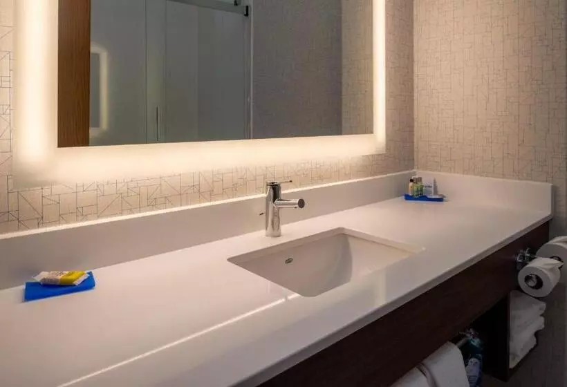 シングルデラックスルーム, Holiday Inn Express Hotel & Suites Gunnison, An Ihg