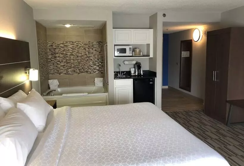 スイート, Holiday Inn Express And Suites   Quakertown, An Ihg